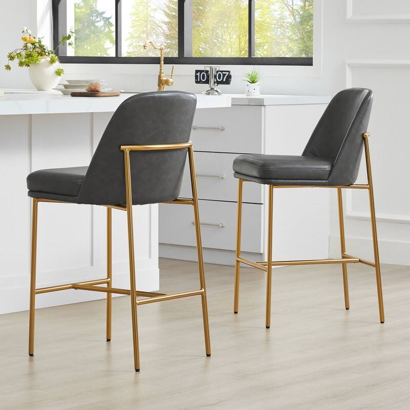 Evelyn Modern 27 inch Counter Height Bar Stool Set of 2
