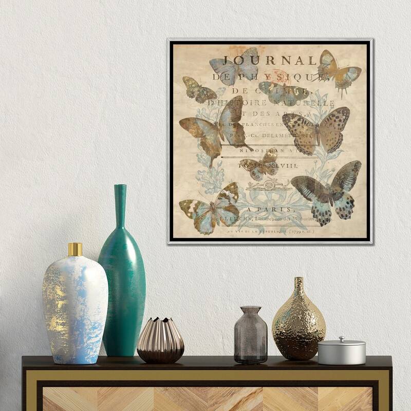 iCanvas "Papillon I" by Deborah Devellier Framed