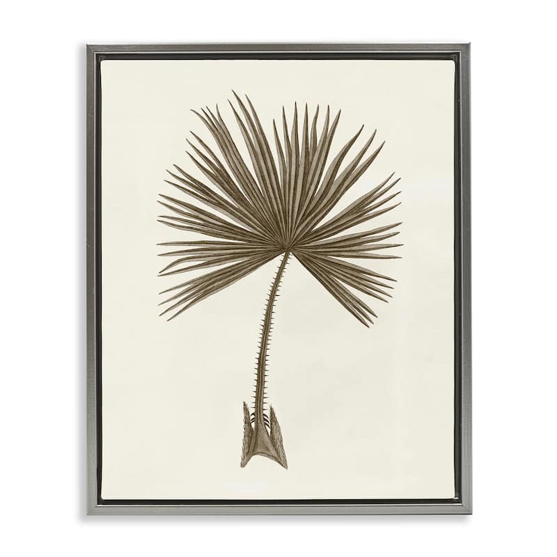 Stupell Vintage Study of Palm Leaf Framed Floater Canvas Wall Art Design By Phillipa Katz - 17 x 21 - Grey