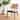 SAFAVIEH Carlo Honey Arm Chair - 23" x 22.5" x 34"