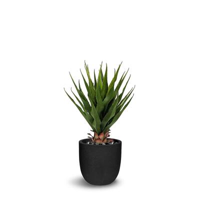 Agave Artificial Green Faux Botanical - 32 Inch