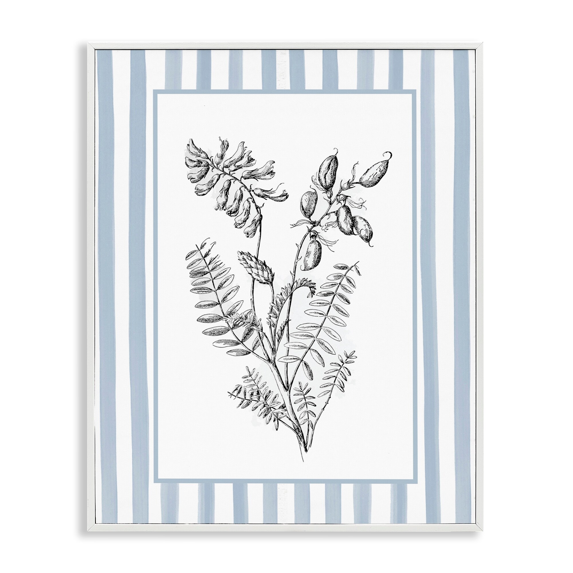 Stupell Herbs with Striped Border Framed Giclee Art Design By Lettered and Lined