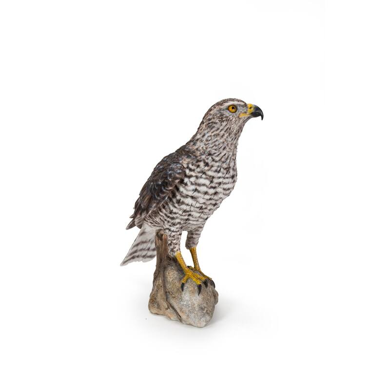 15.5" Northern Goshawk on Rock Outdoor Garden Statue