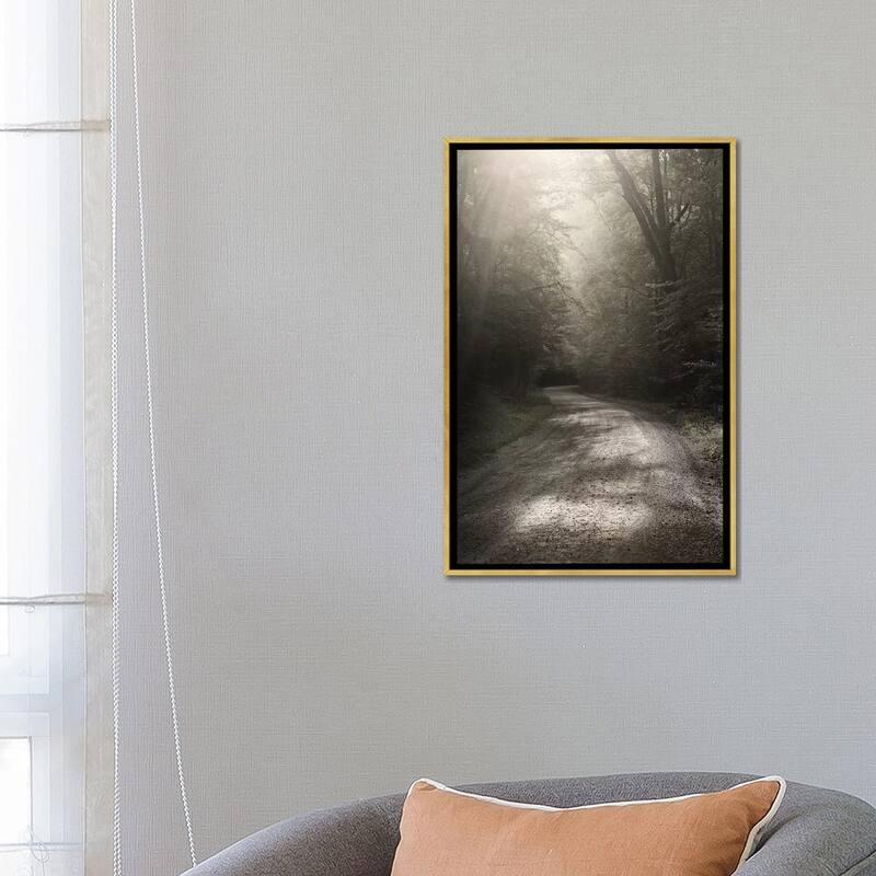 iCanvas "Back Country Road" by Nicholas Bell Photography Framed Canvas Print