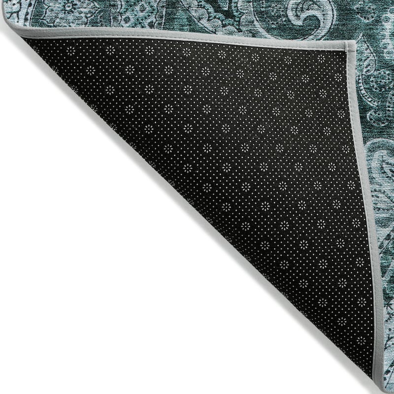 Machine Washable Indoor/ Outdoor Modern Paisley Chantille Rug