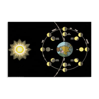 Stupell Moon's Orbit & Phases Canvas Wall Art Design By Phillipa Katz