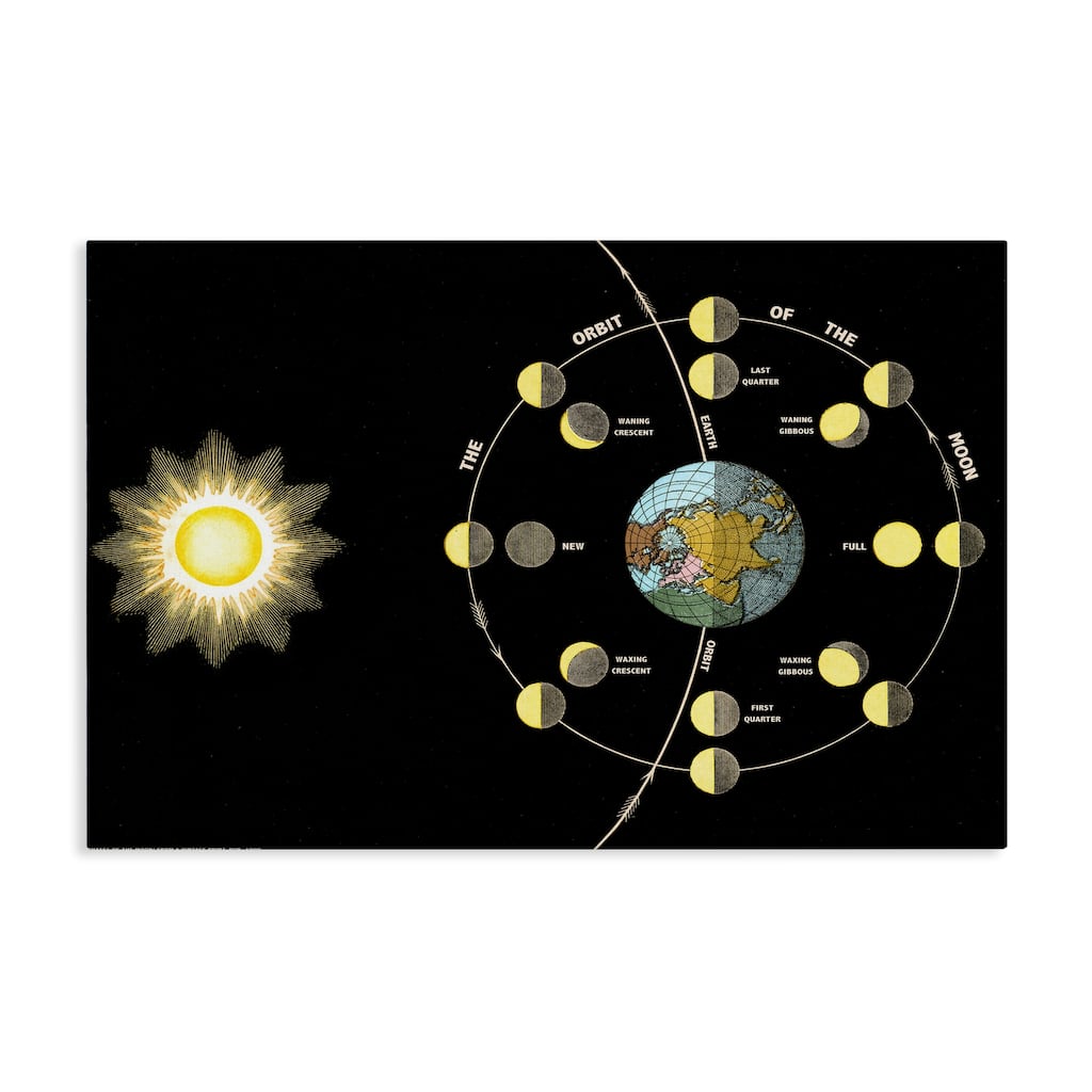 Stupell Moon's Orbit & Phases Canvas Wall Art Design By Phillipa Katz