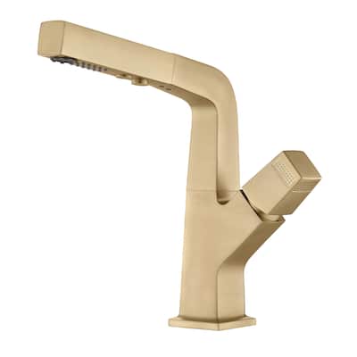 Solid Brass Pull Out 360° Swivel Single Hole Bathroom Faucet