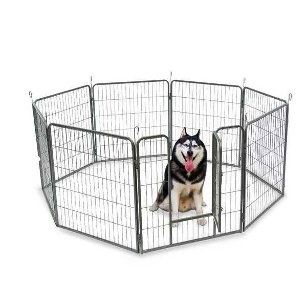 Hammigrid 2025