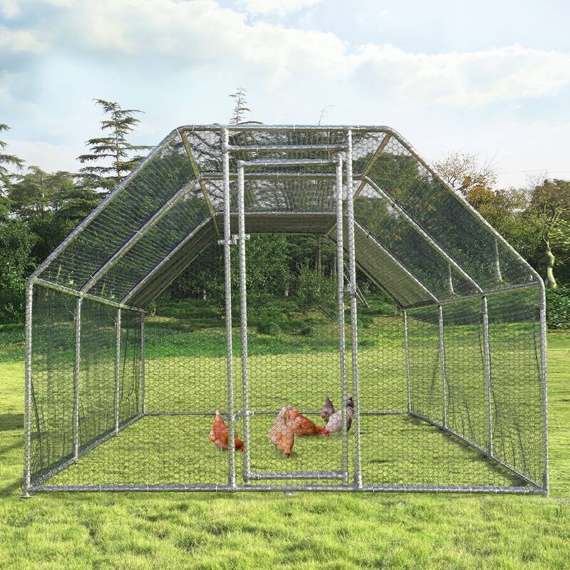 Large Walk In Chicken Coop