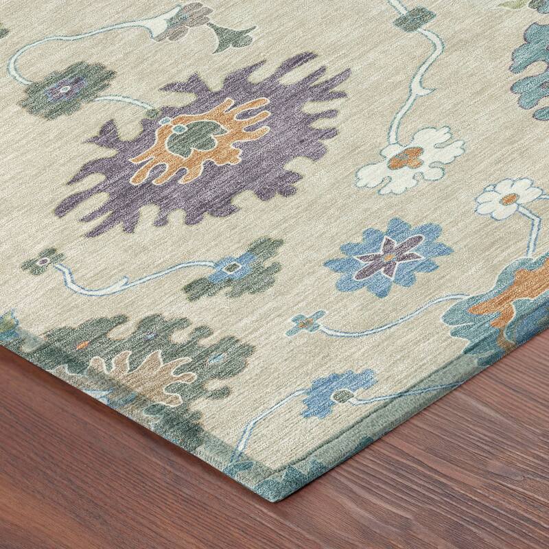 Machine Washable Indoor/ Outdoor Traditonal Delhi Chantille Rug
