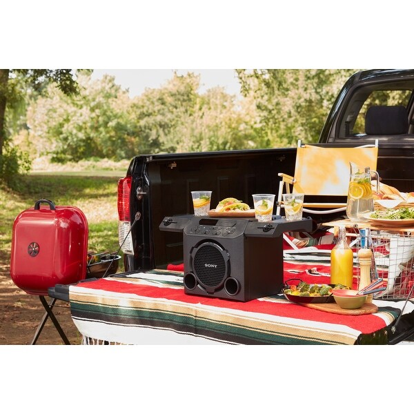 pg10 portable wireless speaker