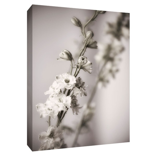 PTM Images 9-148668 PTM Canvas Collection 10" x 8" - "Jardin d' Argent I" Giclee Flowers Art Print on Canvas