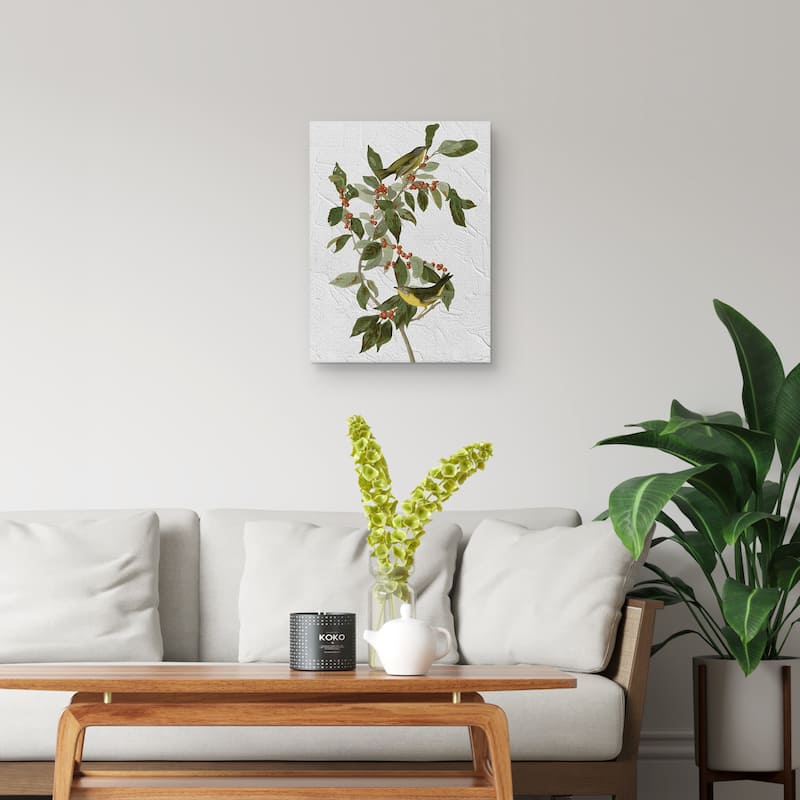 Audubon Nashville Warbler Texture Canvas Art Print
