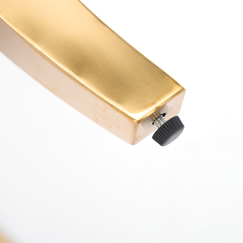 Chenille Dining Chairs, Modern Upholstered Accent Chair with Curved Gold-Plated Legs & Rivet Trim, Plush Fabric, Set of 2