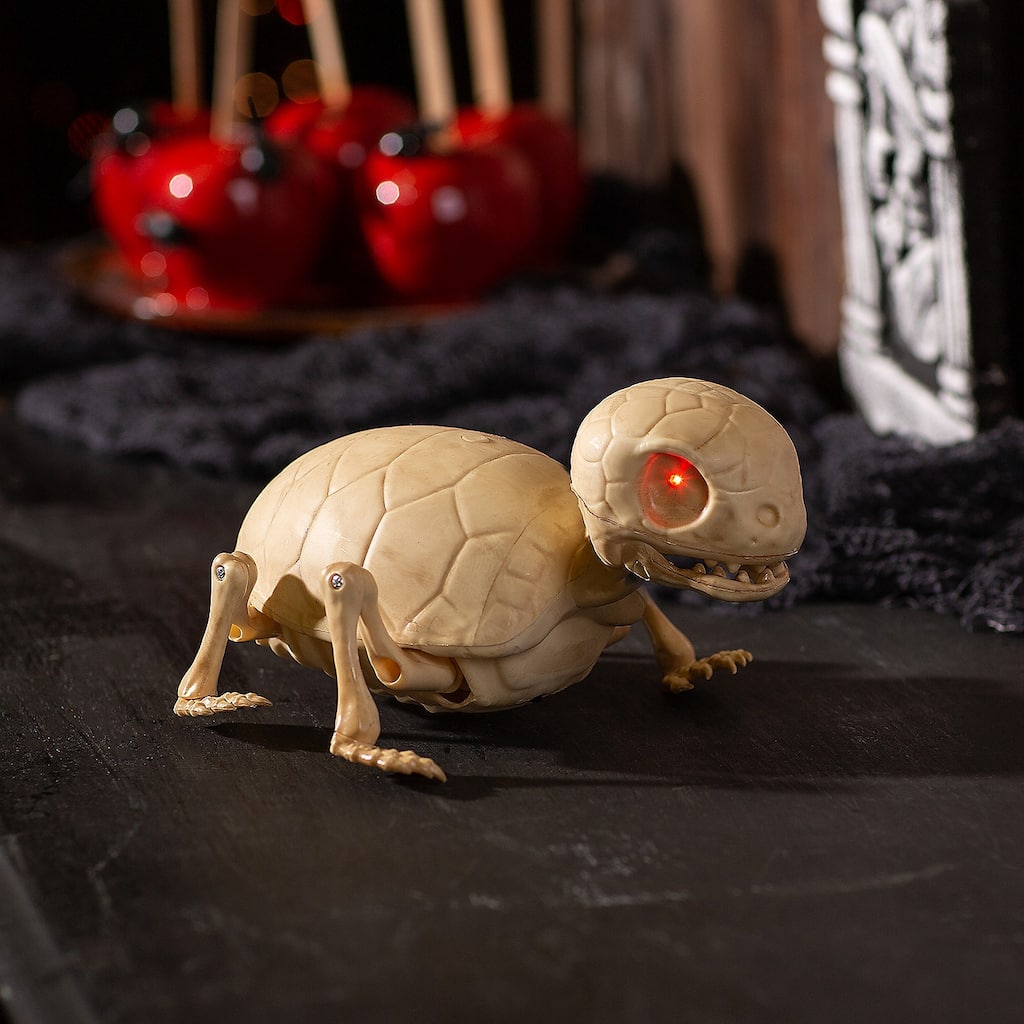 Animated Skeleton Turtle Halloween Decoration, Halloween, Home Decor, 1 Piece - 9" x 6" x 4 3/4"