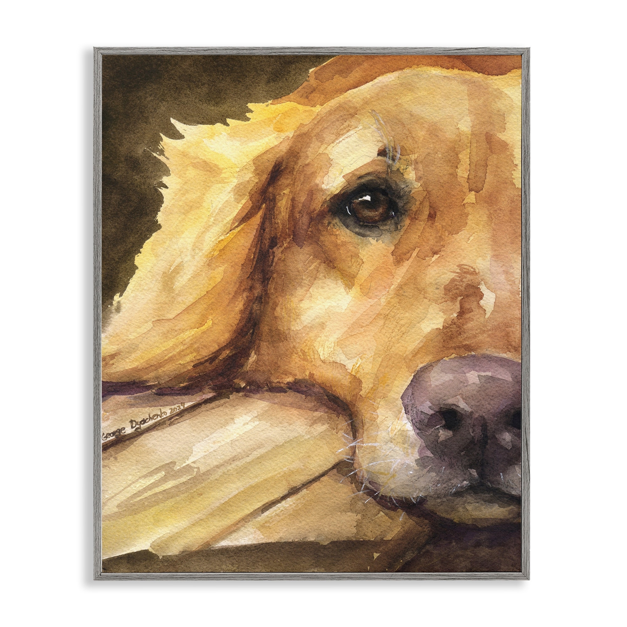 Stupell Sight of Golden Retriever Framed Giclee Art Design By George Dyachenko