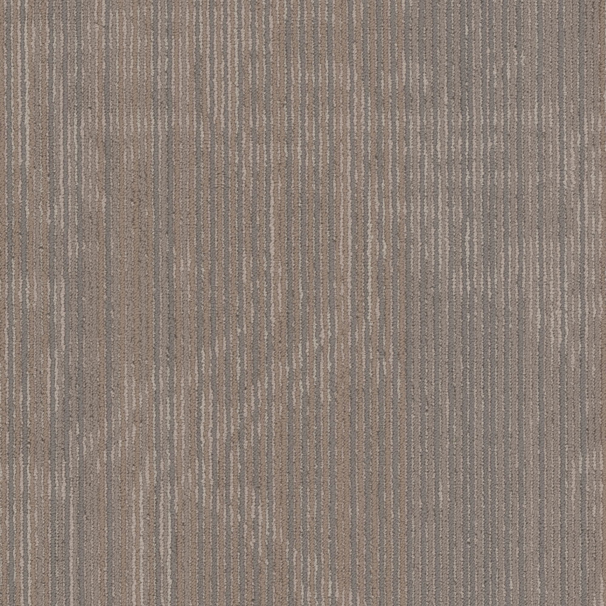 Shaw Philadelphia Commercial Encrypt 18" x 36" Glue Down Carpet Tile -