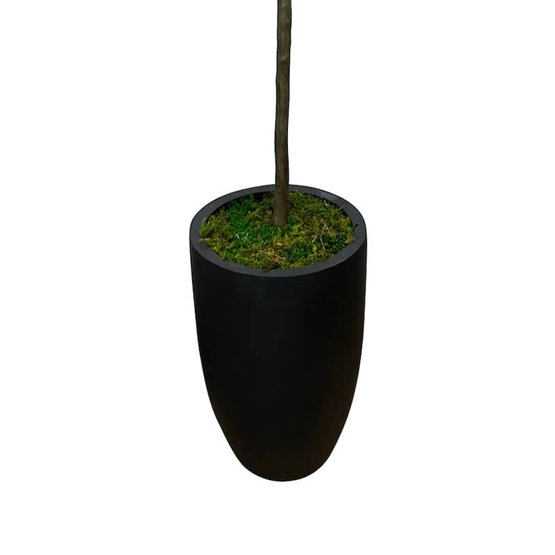 7 ft Fiddle Leaf Tree in a Fiberstone Pot - Green