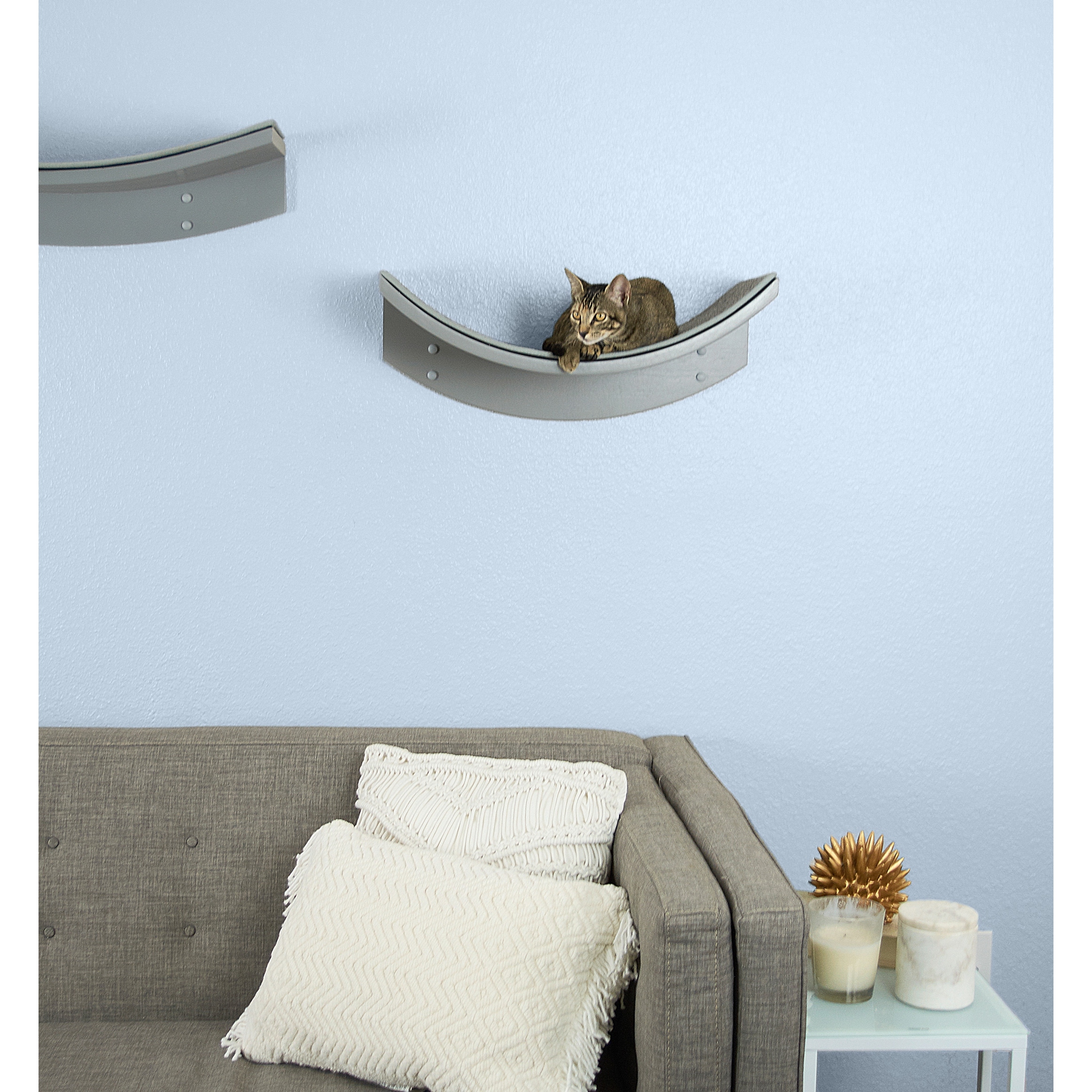 cleopatra leaf cat perch