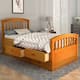 Option Oak