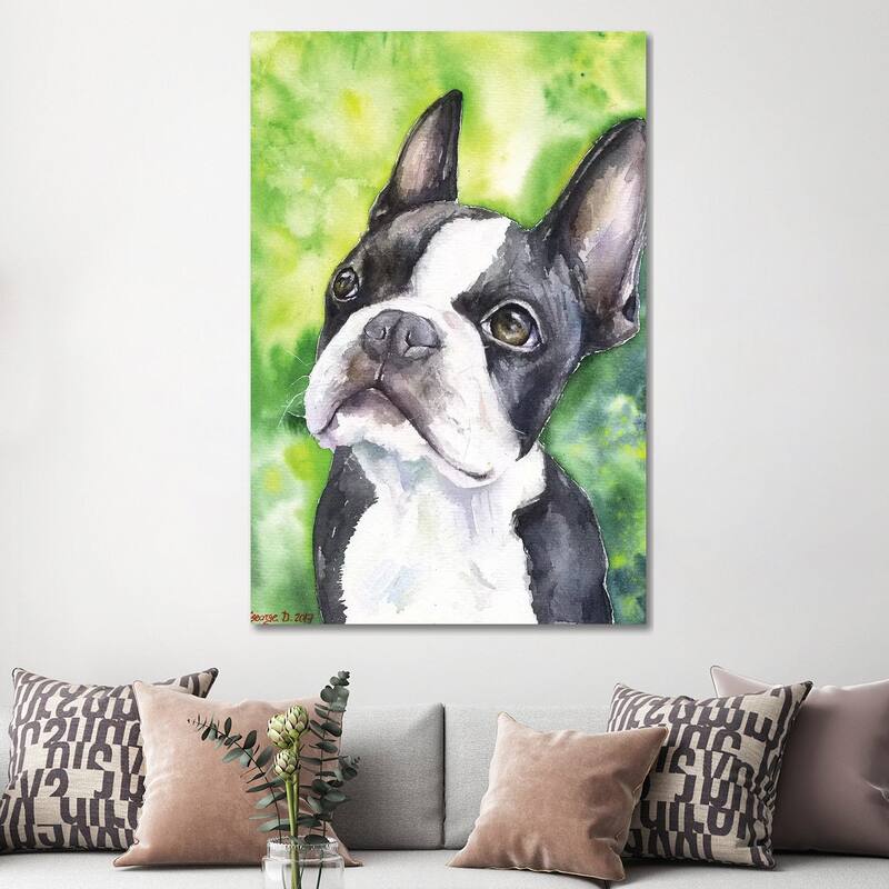 iCanvas "Boston Terrier Portrait" by George Dyachenko Canvas Print