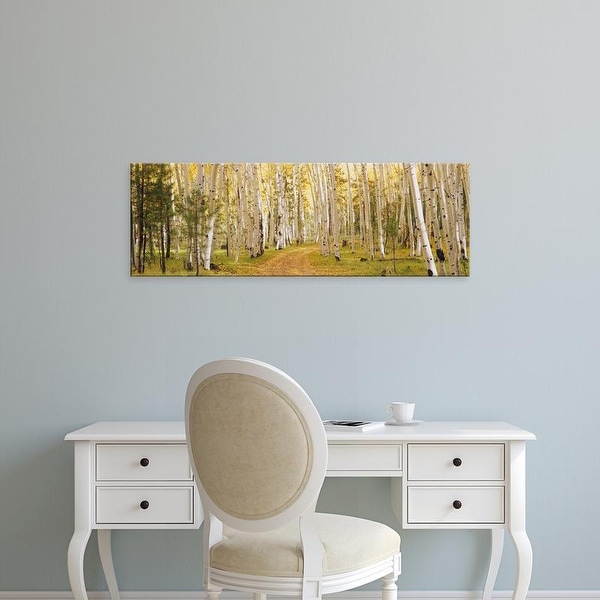 Easy Art Prints Panoramic Images's 'Aspen trees in a forest, Dixie National Forest, Utah, USA' Premium Canvas Art