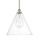Option Brushed Satin Nickel / Clear