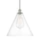 Option Brushed Satin Nickel / Clear