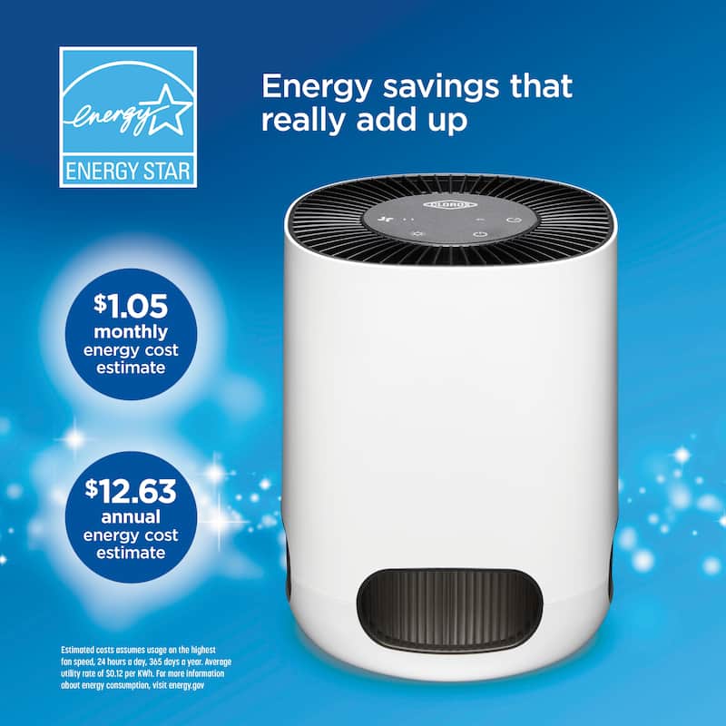 Clorox Tabletop Ture HEPA Air Purifier