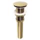 Option Brushed Brass
