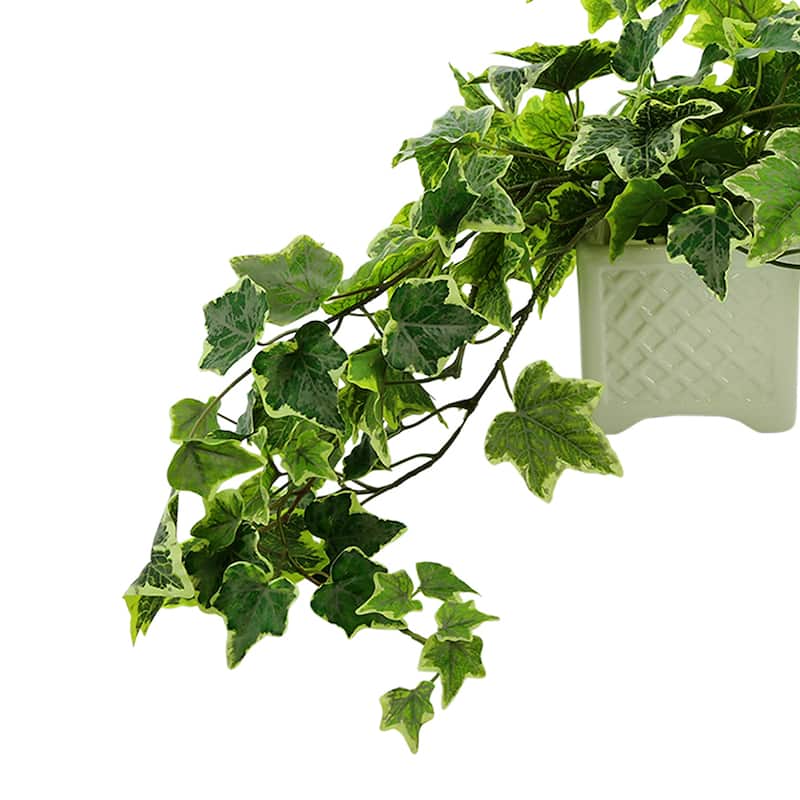 Ivy Arrangement in Square Ceramic Pot - Green