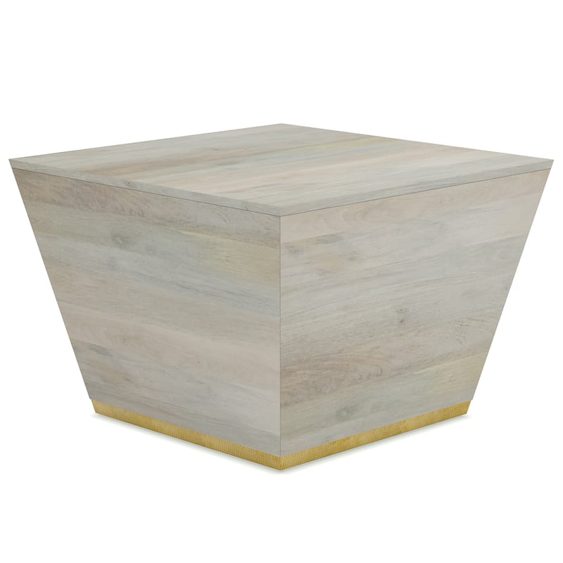 WYNDENHALL Gillean Solid Mango Wood 28 inch Wide Square Modern Coffee Table - 28 x 28 x 18.5