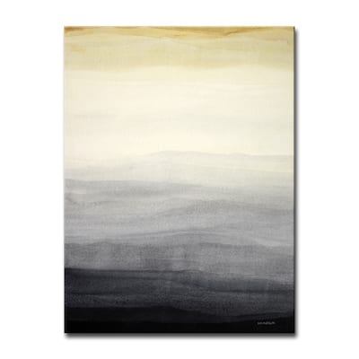 'Shades of Grey' Wrapped Canvas Wall Art by Norman Wyatt Jr.