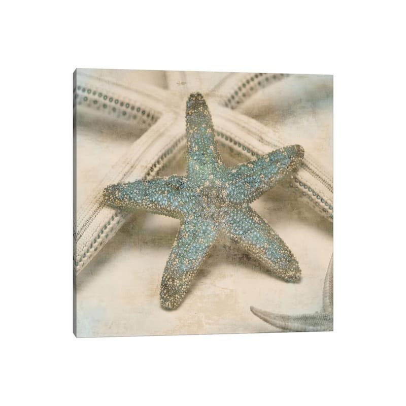iCanvas 'Coastal Gems III' by John Seba Canvas Print