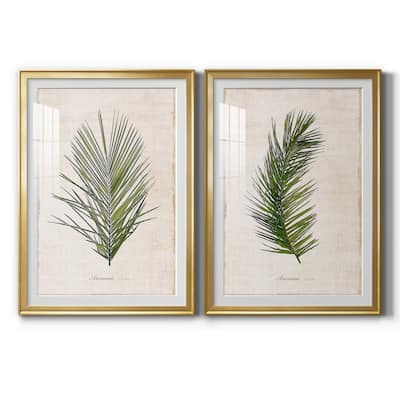 Palm Botanical I Premium Framed Print - Ready to Hang