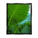 Stupell Green Palm Leaf Painting Framed Floater Canvas Wall Art Design ...