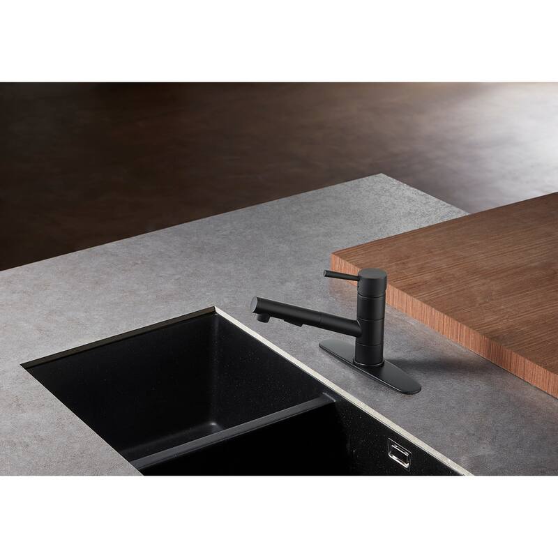 Concord Single-Handle Pull-Out Kitchen Faucet