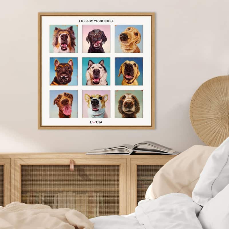 Follow Your Nose Collage by Lucia Heffernan Framed Canvas Wall Art Print - Sylvie Natural