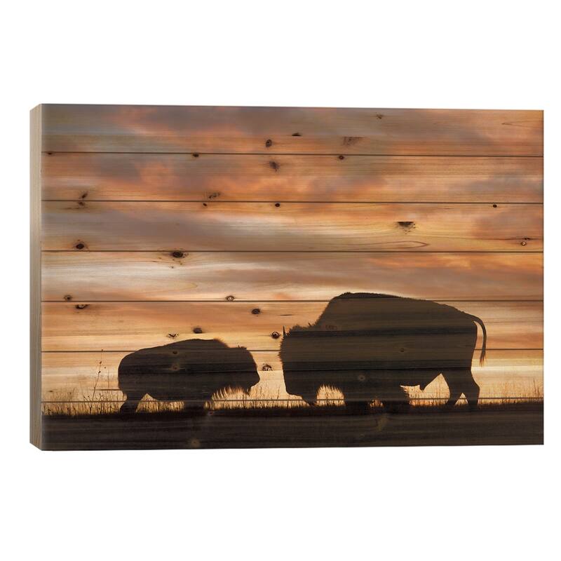 A Silhouette Of A Two Bison At Sunset Near Valentine, Nebraska Print On Wood by Joel Sartore - Multi-Color - 26x40x1.5