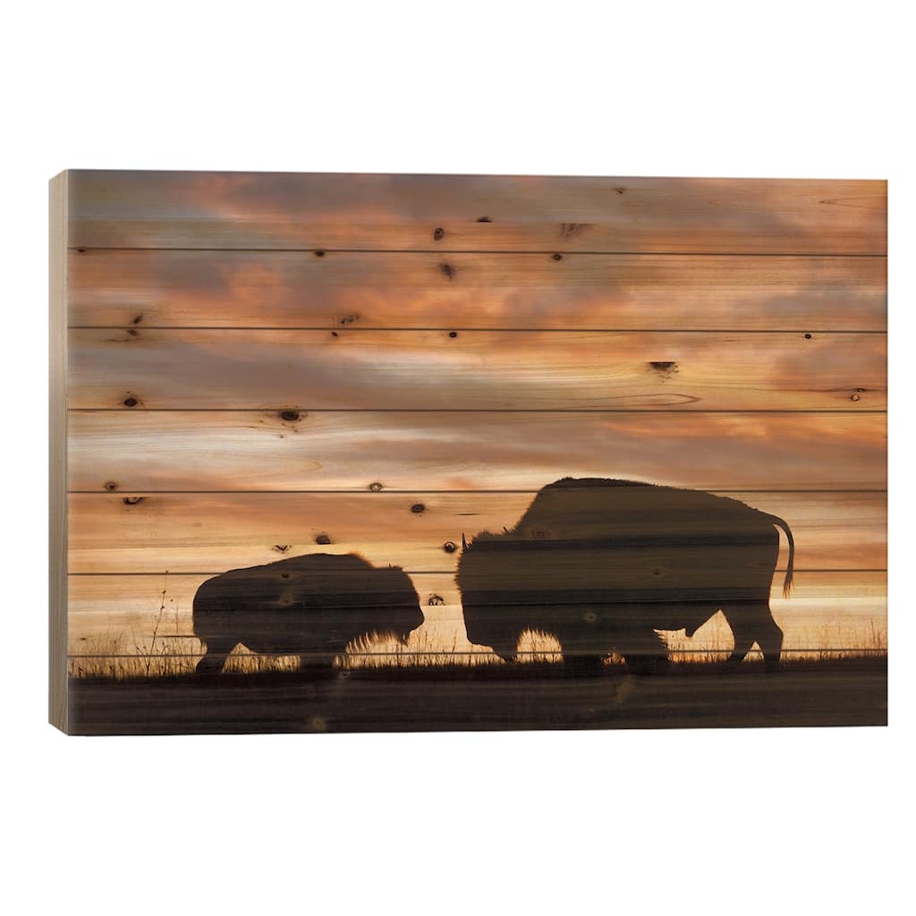 A Silhouette Of A Two Bison At Sunset Near Valentine, Nebraska Print On Wood by Joel Sartore - Multi-Color