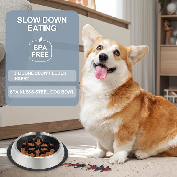Slow Feeder Dog Bowls Stainless Steel Dog Slow Feeder Bowl for Pets - Bed  Bath & Beyond - 42559926