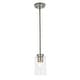 preview thumbnail 1 of 1, Warehouse of Tiffany Cameron Brushed Nickel 1-Light Metal Pendant Light with Clear Glass Cylinder Shade