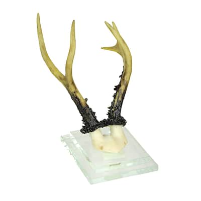 Alpine Chamois Horns Replica Glass Backed Wall Hanging