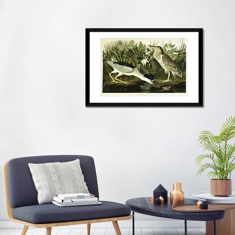 iCanvas "Night Heron or Lua Bird, 1835 " by John James Audubon