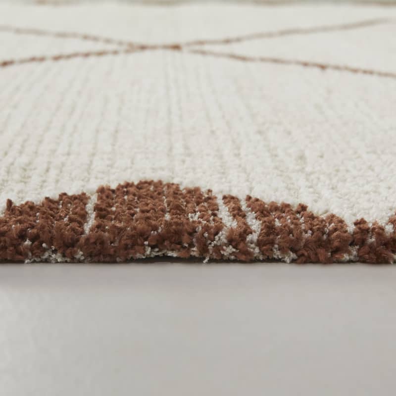 Leonora Diamond Trellis Border Area Rug