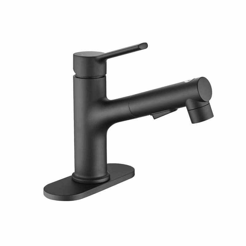 Stainless Steel Bathroom Faucet with Pull-Out Sprayer & 3 Settings - Matte Black