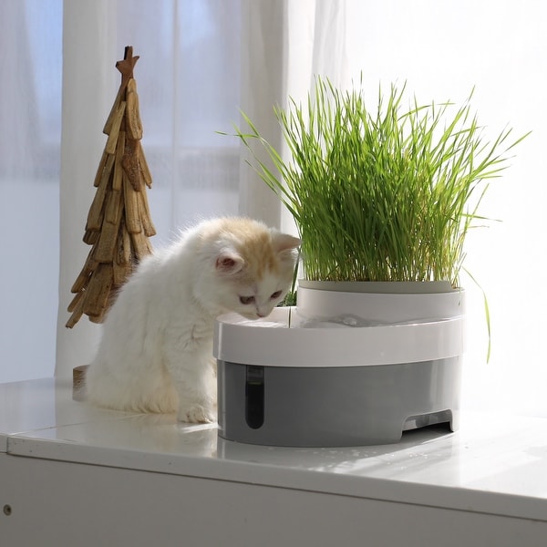 105oz 3.0L Automatic Cat Water Fountain Dog Water Dispenser with