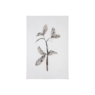 Olive Branch II (30 x 45) Canvas Art Print