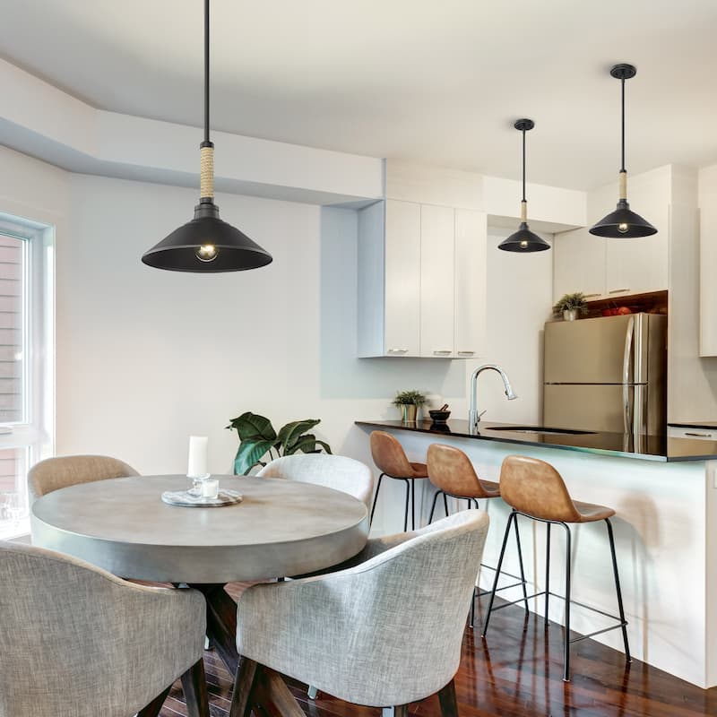 Golden Lighting Journey 1-light Pendant in Natural Black